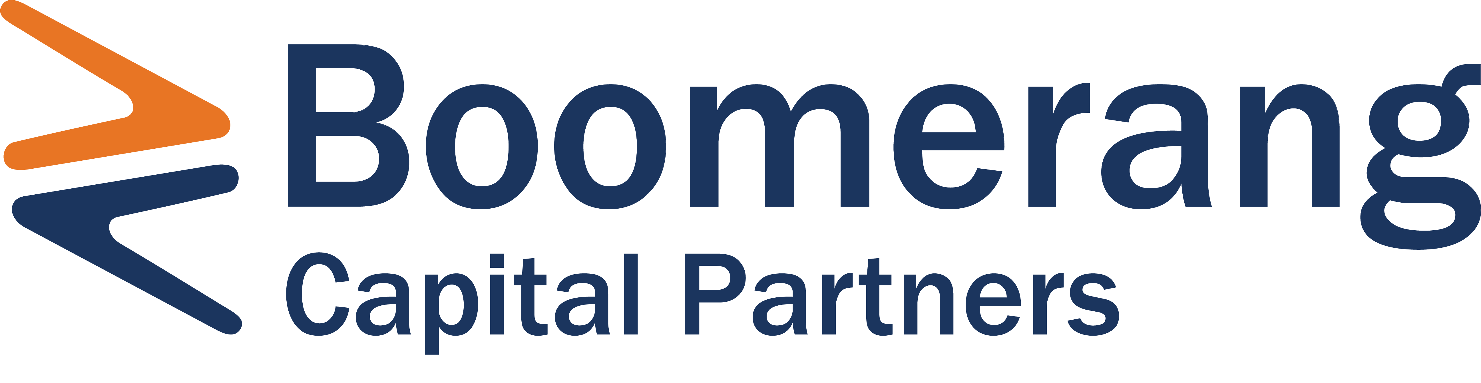 Boomerang Logo File Folder Sticker